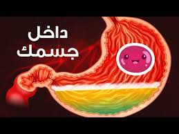 رحلة داخل جسمك Youtube