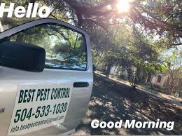 Our team of pest control experts are committed to total customer satisfaction and it's only because of our loyal customers that we've been putting an end to stress and i have had brunson pest control for a few years. 25 Best Pest Control Service Near Chalmette Louisiana Facebook Last Updated Nov 2020