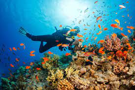 How To Get Scuba Certified For Your Next Vacation | Condé Nast Traveler