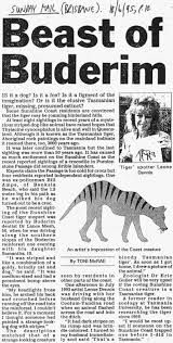 18th Of June 1995 Tasmanian Tiger Australian Animals Australian Fauna