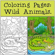 The collection is varied with different skill levels and. Coloring Pages Wild Animals Mother Alligator Stock Vector Illustration Of Adorable Page 72189949