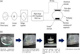Find its speed after it has moved freely to a very large distance away. Dielectric Barrier Discharge Cold Atmospheric Plasma Bacterial Inactivation Mechanism Olatunde 2019 Journal Of Food Safety Wiley Online Library