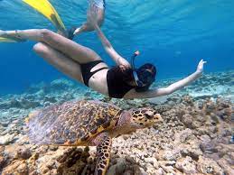 Mala Boutique Inn Provides Speed Boat Transfer Round Trip 5 Nights Stay With All Meals Airport Assist Maldives Beach Snorkeling Beach Bikini Photography