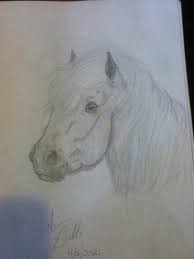 A partial list of prominent behaviorists. Animal Drawings Home Facebook