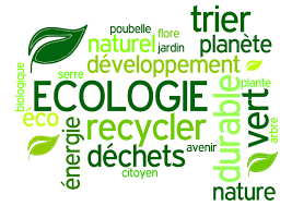 RÃ©sultat de recherche d'images pour "protection environnement"