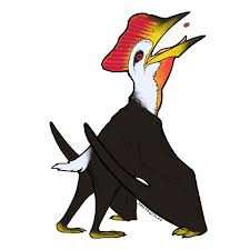 Image result for Sinopteridaceae