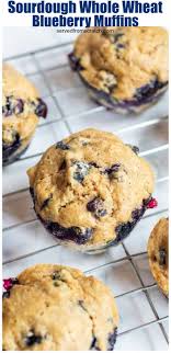 Sourdough Whole Wheat Blueberry Muffins Recipe Whole Wheat Blueberry Muffins Easy Gluten Free Desserts Blue Berry Muffins