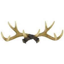 Antler Hook Shop Hobby Lobby Hunting Home Decor Antlers Hunting Decor