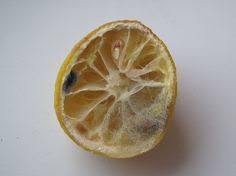 Ne Jetez Plus Le Citron Trucs Et Astuces Trucs Et Astuces Maison Astuce Menage