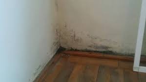 Faceți ceva pentru planeta noastră, imprimaţi această pagină numai dacă este necesar. Vopseaua Antimucegai Chiar RezolvÄƒ Problemele