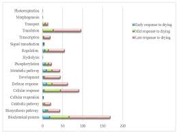 Image result for Xerophyta schlechteri