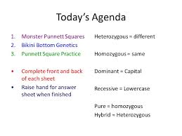 Simple genetics answer key epub, spongebob genetics work answers, biology genetics work answers, genetic code work answer key epub, km 754e 20160113072528, , human pedigree genetics work answers. Warm Up Put Bug Lab On Desk To Be Collected Turn In Drawing And Chart Write Down And Answer The Following Question In Your Notebook 1 T Tall T Ppt Download
