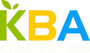 Image result for Habenaria pasmithii