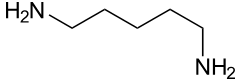 Biogene amine spielen aber auch eine wichtige rolle in der physiologie des menschen und werden vom körper selbst gebildet. Biogene Amine Chemie Schule