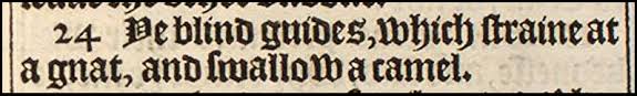 What does he mean by this? The Text Of The Gospels Straining At A Gnat