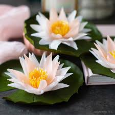 The aquatic plant water lily belongs to the botanical family nymphaeaceae. July Member Make Crepe Paper Water Lily Lia Griffith