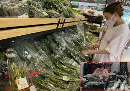 Bộ NN&PTNT lên tiếng vụ lấy chứng nhận VietGAP dễ như mua rau