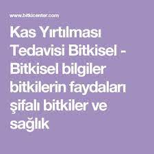 kas yirtilmasi tedavisi bitkisel bitkisel bilgiler bitkilerin faydalari sifali bitkiler ve saglik strengthen