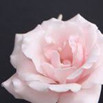 We've found 6 active coupon codes for flower addict. 15 Off At Elan Flowers 1 Coupon Code May 2021 Discounts Promos