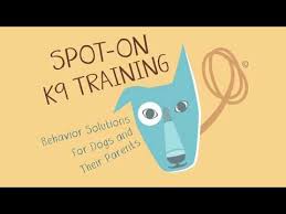 I could tell she knew what she was doing and had great advice for everyone's. Group Dog Training Classes Manhattan Expert In Home Dog Training Near Me Spot On K9 Training