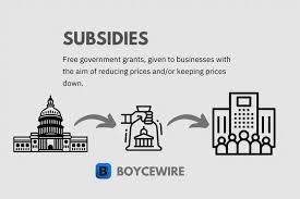 نتیجه جستجوی لغت [subsidy] در گوگل