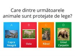 Pasarile si animalele ocrotite fac ravagii in amenajarile piscicole. Plante È™i Animale Ocrotite De Lege Resurse Didactice