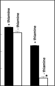 Ce service a été réalisé à partir des informations fournies par l'agence nationale de sécurité du médicament et des produits de santé (ansm) et de la caisse nationale d'assurance maladie (cnam). Trma Cells Without Thiamine Exhibit A Significant Decrease In Total Rna Download Scientific Diagram