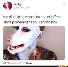 Me Disguising Myself As One Of Jeffree Star S Pomeranians So I Can Rob Him Ifunny Jeffree Star Memes Popular Memes