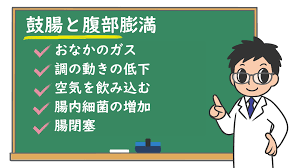 鼓腸と腹部膨満:原因は？ 病院受診のタイミングは？ 検査や治療は？ – 株式会社プレシジョン