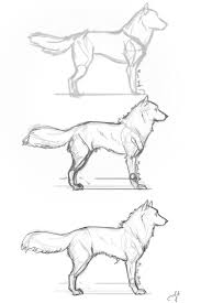 40 Simple Dog Drawing To Follow And Practice Animal Drawings Animal Sketches Drawings