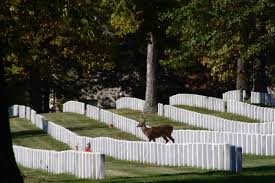 Maybe you would like to learn more about one of these? File Jefferson Barracks National Cemetery Buck Jpg Wikipedia