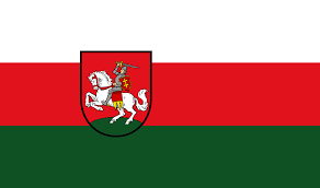 It has a 1:2 ratio. Redesigned Flag Of Belarus Flag Vehicle Logos Porsche Logo