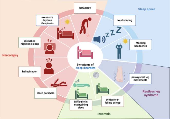 Integrative sleep management: from molecular pathways to conventional and herbal treatments | Naunyn-Schmiedeberg's Archives of Pharmacology | Springer Nature Link