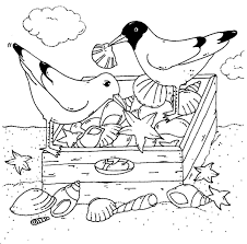 Ausmalbild Vogel Mowen Und Muscheln Kostenlos Ausdrucken Malvorlagen Ausmalen Ausmalbilder Vogel