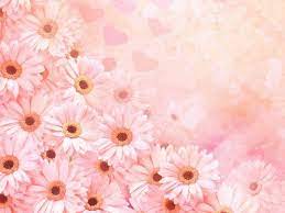 These beautiful pictures of pretty flowers are free stock photos and can be downloaded and commercially used because they are licensed under the free pexels license. Cute Flower Backgrounds Wallpaper Cave