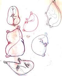 Flour Sack Study 7 By Neverhuman On Deviantart Animation Drawing Sketches Animated Drawings Pillow Drawing