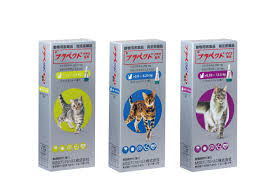 ブラベクト 猫 通販