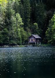Une cabane romantique, lovée au pied du vieux saule et aménagée sur une mare naturelle … so cosy ! Saut Du Doubs Switzerland Maison Au Bord Du Lac Maison Dans La Foret Telephone Maison