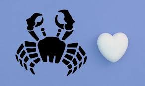 Many will be uncomfortable with the idea of physical intimacy unless they possess at least some degree of emotional involvement with their sexual partner. Love Horoscope Cancer 2020 Relationship Insights For Cancer Star Sign Express Co Uk