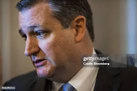 5,181 Bill Ted Stock Photos, High-Res Pictures, and Images