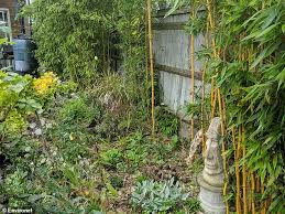 Getting rid of bamboo can be a process that can take several years, depending on the degree of bamboo infestation, but it can be done using a few simple garden tools. British Gardeners Urged Not To Grow Bamboo Daily Mail Online