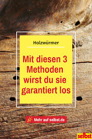 Holzwurm Selbst De Holzwurm Holzwurmer Bekampfen Holz