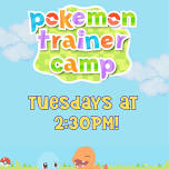 Pokemon Trainer Camp