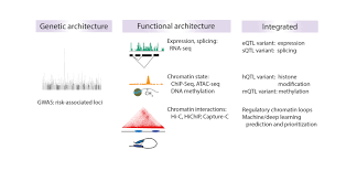 It can also be utilized to identify novel biomarkers, because histone modification. Use Of The Epigenetic Toolbox To Contextualize Common Variants Associated With Schizophrenia Risk Abstract Europe Pmc