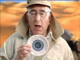 Who remembers Ben Steins Clear Eyes Commercial