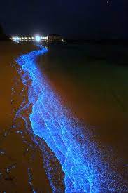 Maldives Blue Sand Maldives Beach Places To Travel Places To Visit