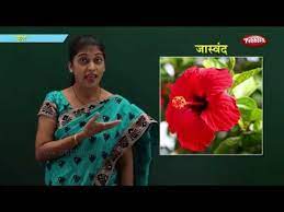 All lessons from this blog and more are available there. Flowers In Marathi Learn Marathi For Kids Marathi For Beginners Youtube