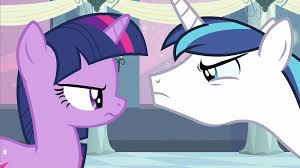 Why Is Shining Armor Angry At Twilight? (Wrong Answers Only) :  rmylittlepony