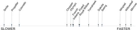 types of spinner blades fishing outposts