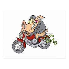 Biker Hog Pig Motorcycle Bike Cartoon Postcard Zazzle Com Hog Pig Motorcycle Bike Biking Quotes Cycling